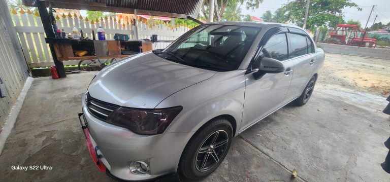 Toyota Axio 2013